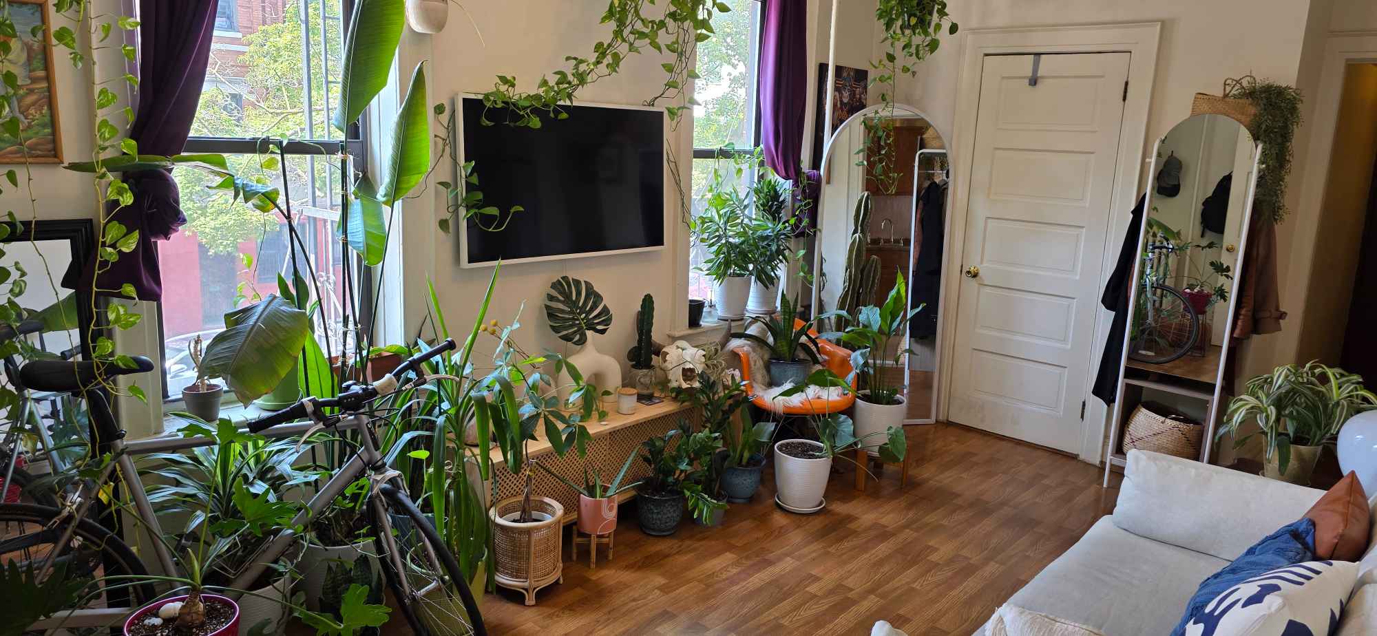 I have one room available in a clean, spacious two-bedroom apartment just five minutes from Myrtle-Wyckoff L/M trains. The apartment is spacious with a nice kitchen and a large bright living room. The room features a southeast-facing window with great morning light, measures 14' x 7.5', and includes a closet. I can provide a desk, chair, and bookshelf if needed. The apartment is on the second floor of a well-maintained walk-up with roof access and a responsive landlord.
Ridgewood is a great neighborhood with lots of new apartment buildings and businesses popping up and is only 20 minutes from Union Square. The neighborhood is safe and quiet with lots of convenience stores, grocery stores, laundromats, restaurants, cafes, bars, buses, and trains nearby. It is also walking distance to the lively Jefferson area in Bushwick.
About me: I'm a 38-year-old professional who works in the city (typically 1-11pm). I’m easy going, like to eat really healthy and cook a lot. I like traveling, photography, music, volleyball, and nightlife. I keep the apartment very clean and clutter-free so you must be clean, clutter-free, and willing to share in the cleaning responsibilities and pick up after yourself. If you are messy and/or have a lot of stuff this would not be a good apartment for you. Sorry but no couples, pets, drugs, tobacco, or alcohol.
The room is available September 1st. Rent is $1,100 per month plus a $1,500 security deposit (first month + security due at signing). Utilities and household expenses are split 50/50 with FIOS 300/MBPS internet being $28 per person and gas/electric usually about $70 per person depending on time of year. Looking for someone to stay for a year or more.
If interested, please email with a brief introduction including your age, occupation, and lifestyle. Please include any social media profiles or personal websites. Thanks.
*Some of the furniture and plants pictured are gone, including the TV*