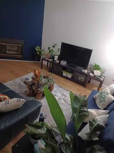 I have a private Studio, FULLY FURNISHED/ ALL UTILITIES PAID/NEWLY RENOVATED with private (back) entrance, and you'll easily make your way around the neighborhood on foot, bicycle, or using a car.
Furnished with everything in the picture, Negotiable if furniture is not needed, rent can be reduced instead. There are also plenty rideshare options to take advantage of. Flexible leasing options... month to month, 6 months, or year.
Fully stocked Kitchen (stove, refrigerator, microwave).
-Laundry room (Private)
-Comfortable accommodations including brand new memory foam Leesa mattress, west elm couch, 40'' TV (netflix, amazon and hulu)
-This is an apartment that is located on the backside of the house, it is attached. It's a separate space and with a separate yard. So you have nothing to share.
-Private driveway for your car.
-Large outdoor dining table, perfect for eating outside on a nice night or having your morning coffee beneath our pecan tree.
-Community driven neighborhood, safe and walkable.
-Washer/Dryer Included in unit.