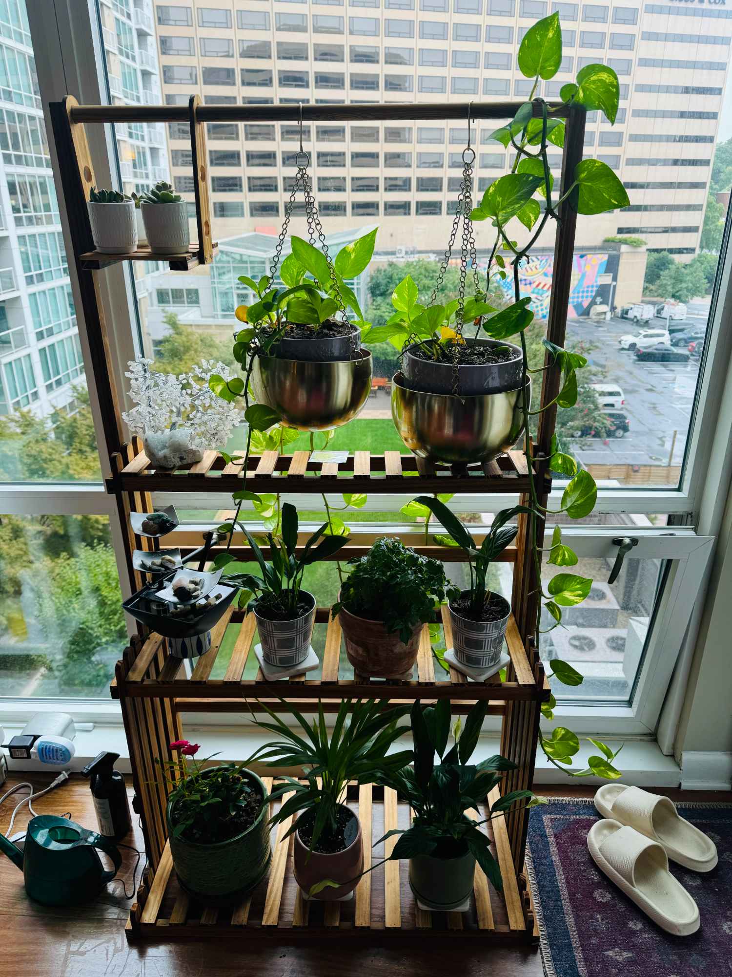 Looking for a mature and respectful roommate
Hi there! I'm looking for a new roommate for my spare bedroom starting in January. The ideal person is mature, clean, and well-organized, and appreciates a peaceful and quiet home environment.
The bedroom is roughly 135 sq ft (11' x 12') and is fully furnished with a queen-size bed, a dresser, and a walk-in closet. It's a bright room with lots of natural light and is especially cozy during the fall and winter months. You'll have your own private bathroom, which will also be used as a guest bathroom when I have visitors.
The apartment itself is fully furnished, including the living area with a dining table, couch, TV/WiFI and a study. The kitchen is also fully equipped with all the dishes and pans you'll need. I'm a pescatarian, but there are no dietary limitations for you—I only ask that you clean up after yourself in the kitchen.
We live in a secure, gated building with 24/7 security. It also has a great gym, swimming pool, and hot sauna. The neighborhood is fantastic—vibrant with great cafes and restaurants, and only a 10-minute drive from Reagan National Airport. We also have plenty of parks and walking paths nearby, and I love living here.
If this sounds like a good fit, please tell me a little bit about yourself!