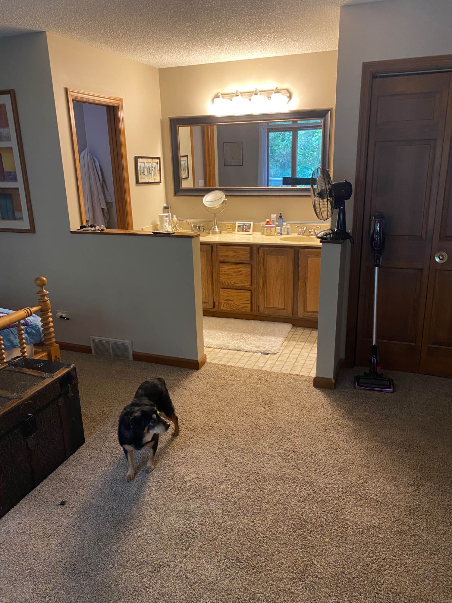 I’m laid back 64 years old male, have a dog and a cat, no other animals are allowed. Room for roommate is a large bedroom with own bathroom, large walk in closet and a regular size closet. Door from bedroom out to a sunroom and a small outdoor deck