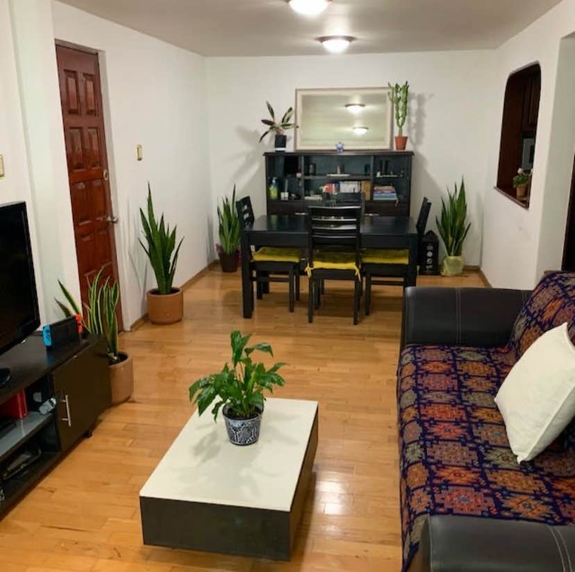 La habitación es muy amplia y tien closet grande.
El depa es muy amplio, totalmente amueblado, cocina equipada y servicio de lavado con lavadora disponible.
La ubicación. Se encuentra en una zona muy segura, cerca de Restaurantes(Sonora grill, la Pescadería, Fishers etc.) y supermercados, a una cuadra de Alameda Nápoles y de MB Col. Del Valle.
El edificio cuenta con vigilancia las 24 hrs y con opción de estacionamiento.