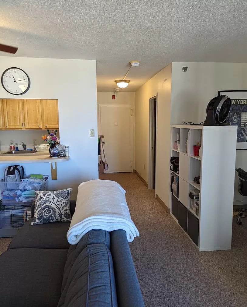  A SPACIOUS STUDIO LET
           a private and furnished studio and all utilities are included in the rent.the room amenities include a private kitchen,bath,cable,wi-fi dishwasher,laundry hardwood floor,parking and pets are allowed,,,  contact me for more information about the place for quickest response   +1 262-757-7077