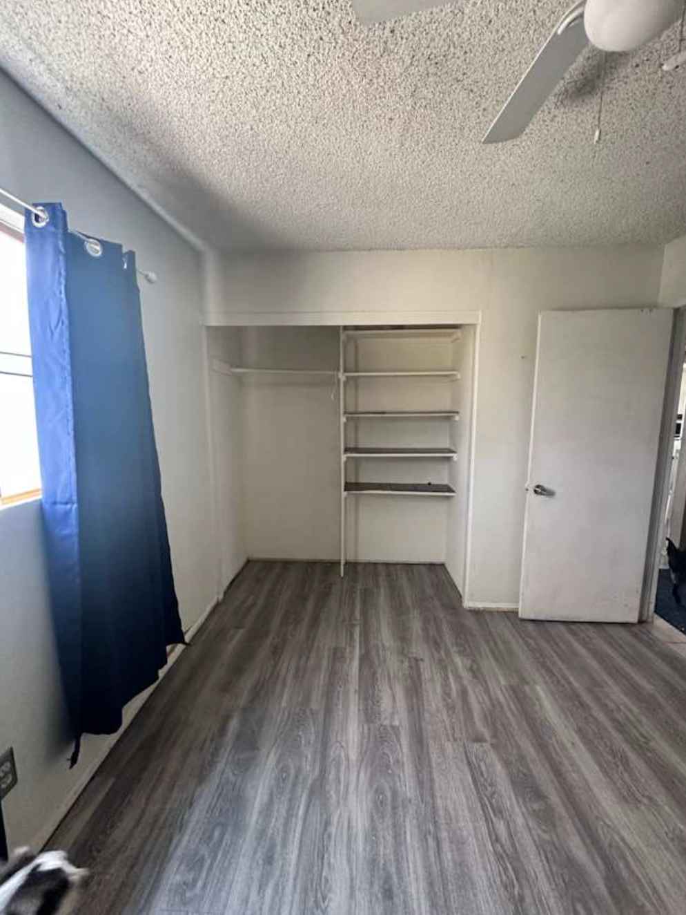 Full bathroom, and large kitchen. 92374, North Redlands, Alta/Doyle. 5 min from U of R, ESRI, Downtown, and 10 & 210 freeways. Harkens/Mountain Grove plaza is 1.5 mi. away. Cul-de-sac street parking.
I am the home owner and the only other person in the house. I am pretty quiet, I cook, hang with the cats, watch my shows, and I keep to myself. It is a 420 friendly household. I am looking for a reliable person with a proven, steady income, student or young professional. Ideally, a thoughtful, easy going, responsible and respectful person. I am in the main room allot of the time in the evenings and on the weekends. Must love cats! ;)