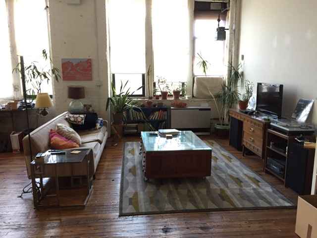 A large furnished bedroom with a bed, closet, and dresser available in a larger loft. The loft itself is 1400 square feet with hardwood floors, large windows that provide amazing light, a huge kitchen, nice dining table and a living room area. There is also a paid laundry machine on the floor. One of the bedrooms is used as my studio. I have two 4 yr old cats, Julian and Jack.