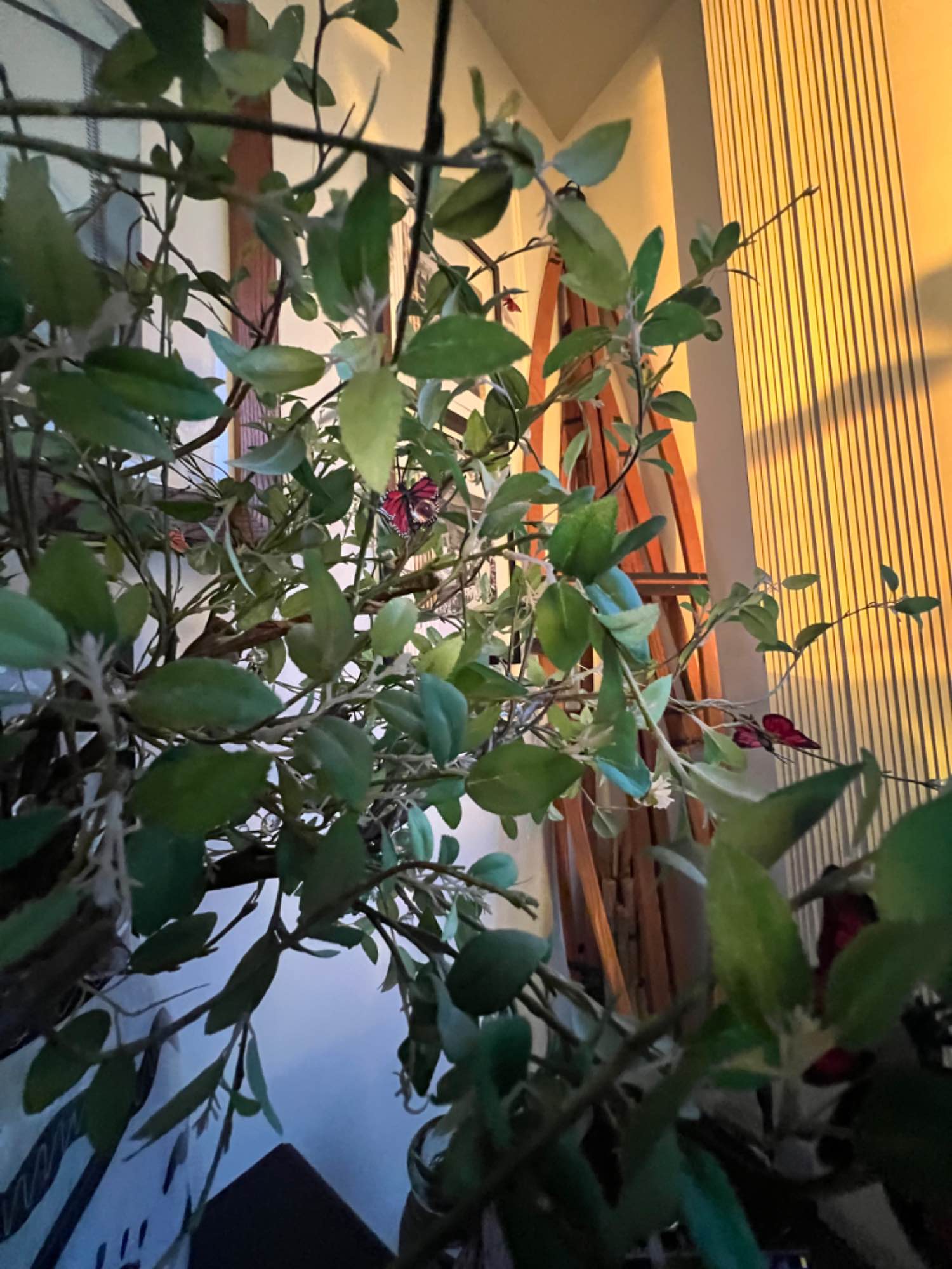 Looking for a roommate in Downtown Miami
33130. Furnished Private Bedroom & Private Bathroom. Share a beautiful 2 bed 2 bath centrally-located, furnished, waterfront condo with 1 other person. Easy access to interstate, transit, & hospitals. Short walk to Grocery Stores, Coffee Shops, Restaurants. 
$1900 utilities included. No smokers