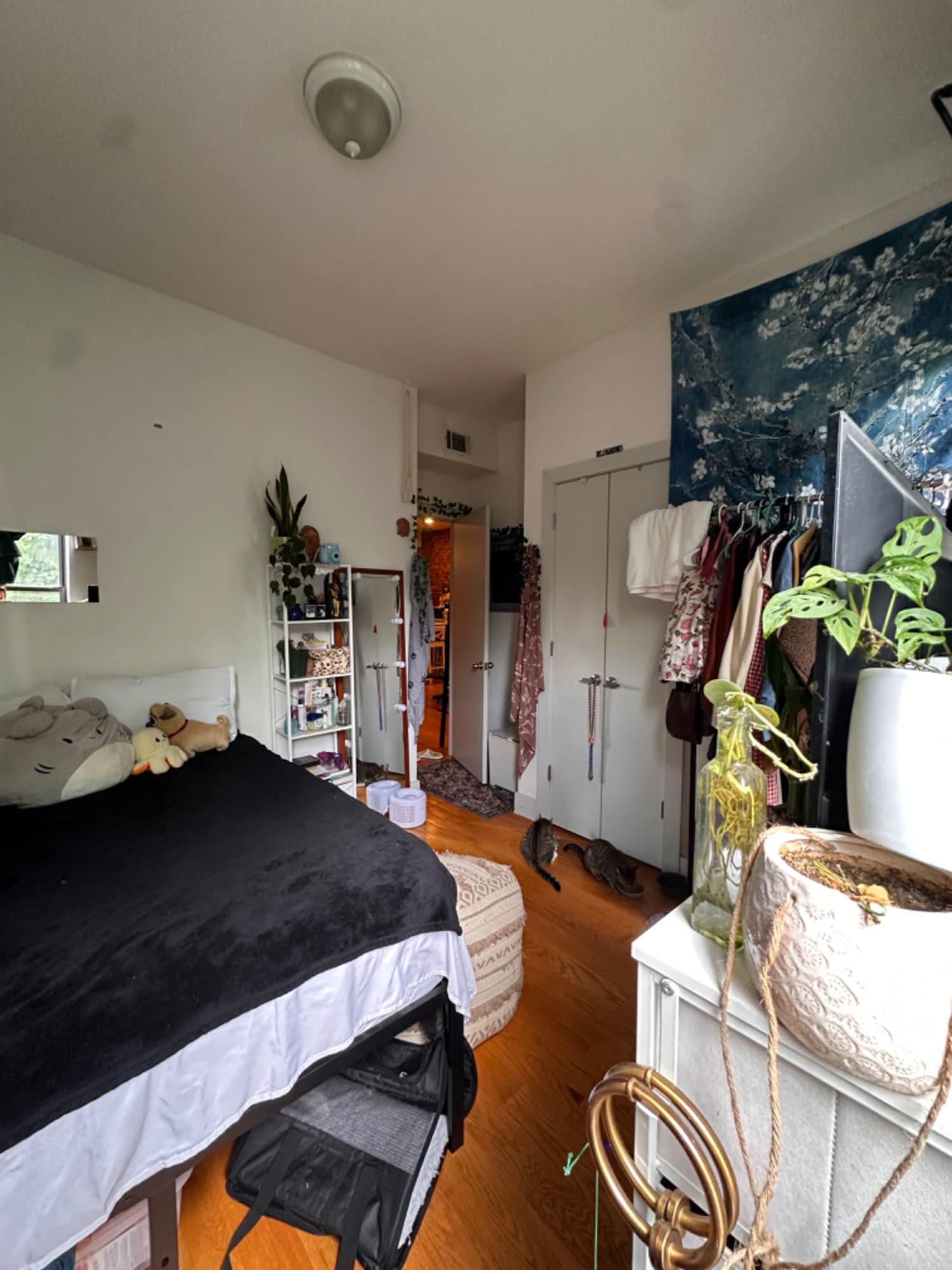 🚨Move-in date Oct 1st🚨

Looking for someone to replace me in this shared Bed-Stuy apt :) Roomates are both women of color, 25 y.o Bed-Stuy native and 26 y.o from upstate New York — another woman of color preferred 🫶🏽 apartment is queer friendly, 420 friendly, and overall super chill vibe! 

Central AC/Heating

There are also two cats living in here, but owner keeps them in her room and you won’t see them much. 

We’re one block from the Myrtle-Willoughby G stop and a 15 minute walk from Myrtle-Broadway J/M

Please message to come view :) 