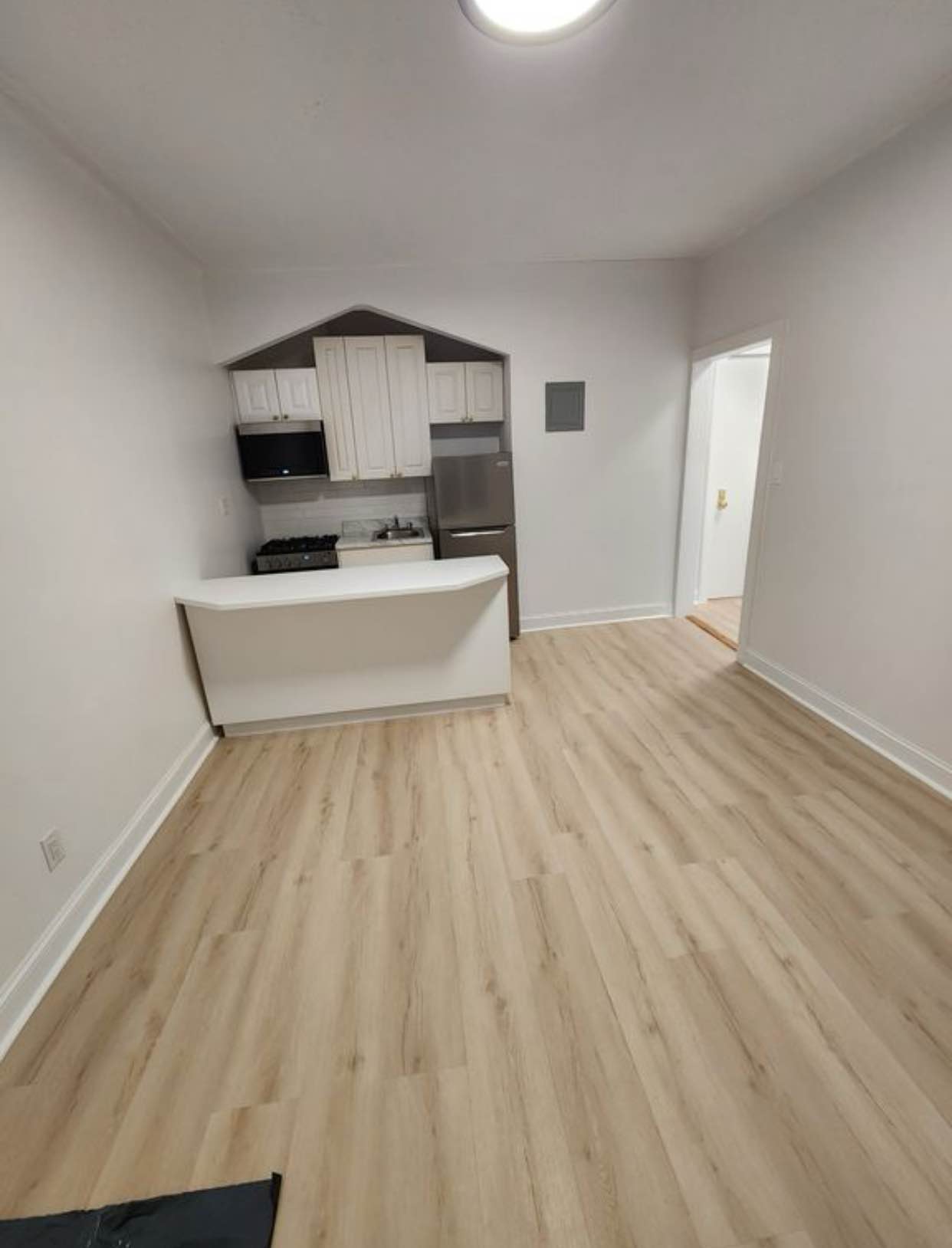 one bedroom with updated kitchen with stainless steel appliances, new wood floors and brand new bathroom with a window. Building has live in super and laundry in the basement. If interested kindly email me on mollyharloww@outlook.com
