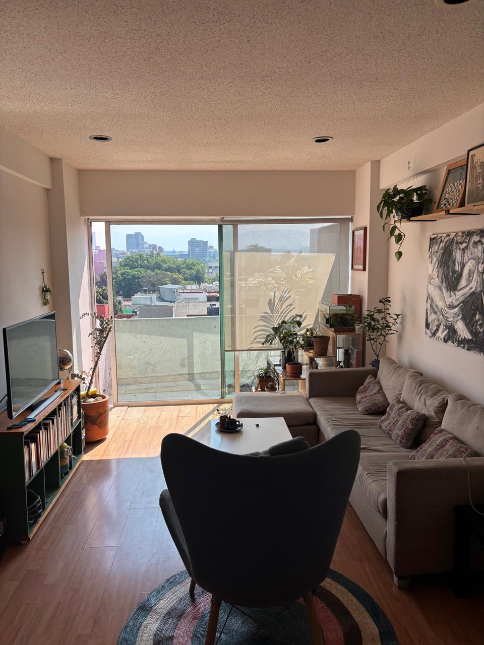 Room rental in Bahía de Todos Los Santos 150, Verónica Anzúres, Miguel Hidalgo, 11300 Ciudad de México, CDMX, México - private Room