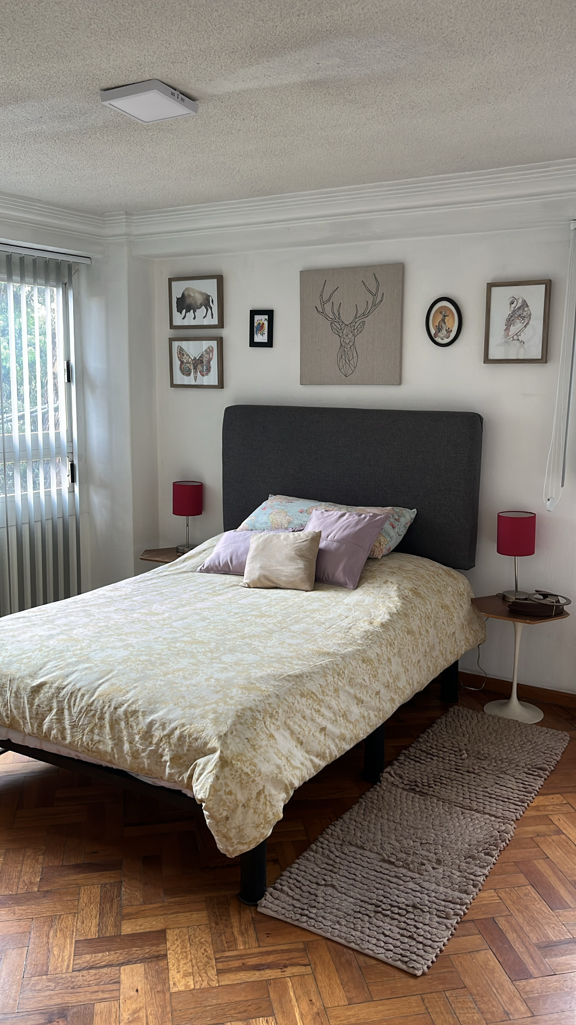 Es un departamento muy lindo para Mujeres, con excelente ubicación en la colonia Narvarte junto a Parque Delta, tiene muy buena iluminación y tiene todos los servicios incluidos.  Este alojamiento es especial por su diseño y comodidad que hace que la estancia sea agradable para las chicas.