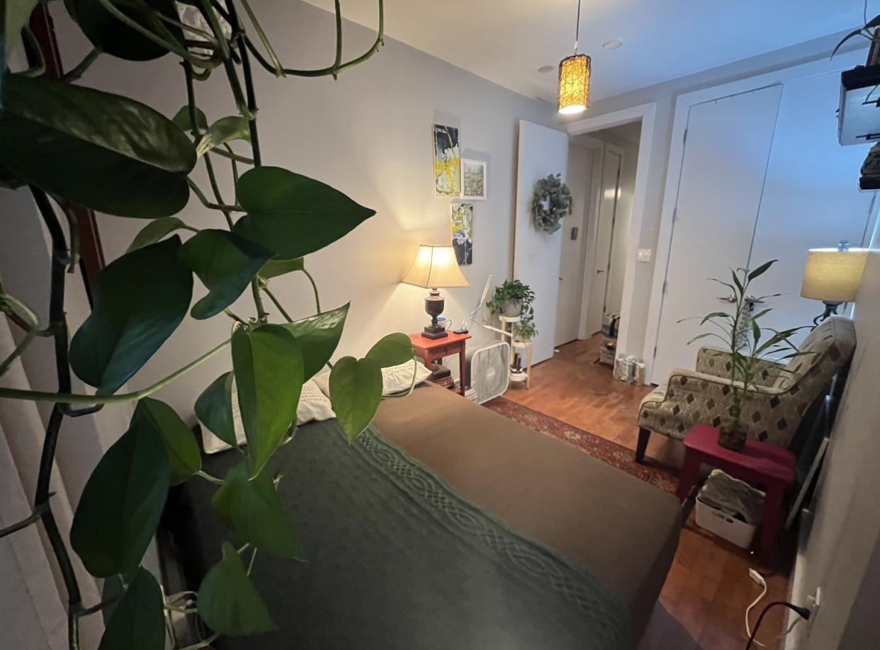 $1885 Room in BedStuy / April Move-in / Balcony + W/D + 2 Baths / LGBTQ+ Sanctuary

Looking for a clean, respectful roommate for a full-floor Bed-Stuy apartment. 

The room:
	•	Closet + extra storage
	•	Balcony + fire escape
	•	2 full bathrooms
	•	Great light, room opposite side of street
	•	Washer/dryer + dishwasher in unit
	•	Central AC/heat

The vibe:
	•	LGBTQ+ safe space (non-negotiable)
	•	3 professional roommates, all busy and traveling for work frequently 
	•	I split time between 2 cities, so really 2 roommates. 
	•	Monthly cleaning service, can request more cleanings if needed 

Location is stacked / Subway access on both sides of block:
A/C, 2/3, 4/5, 6, LIRR, PATH, JFK access
10 min to FiDi / ~30 to Midtown

Food, bars, groceries, gym all on the block (Saraghina → Shake Shack → everything in between)

No pets / no couples

Move-in:
	•	April move in (flexible)
	•	First month + security
	•	FaceTime or in-person meet required


	

Message with:
1. Move-in date
2. A little about you
3. Availability to view

Serious inquiries only — filling ASAP
Looking forward to welcoming you to the neighborhood:) 
