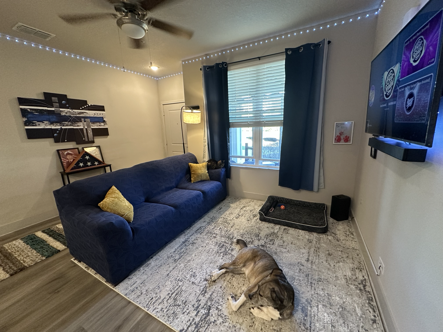 The room available is the master bedroom in a 2-bedroom apartment and comes with a private bathroom and walk-in closet. The apartment has a split floor plan for added privacy, along with a shared kitchen and laundry area.

The community is new and located about 2 minutes from I-4 and major highways, making commuting convenient. The complex also includes a 24/7 gym, pool area, and dog park.